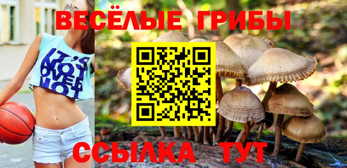 Галлюциногенные грибы Magic Shrooms Куйбышев
