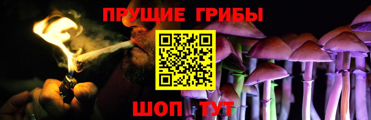 Куйбышев  Галлюциногенные грибы Psilocybe  Галлюциногенные грибы Cubensis  Вход с VPN 